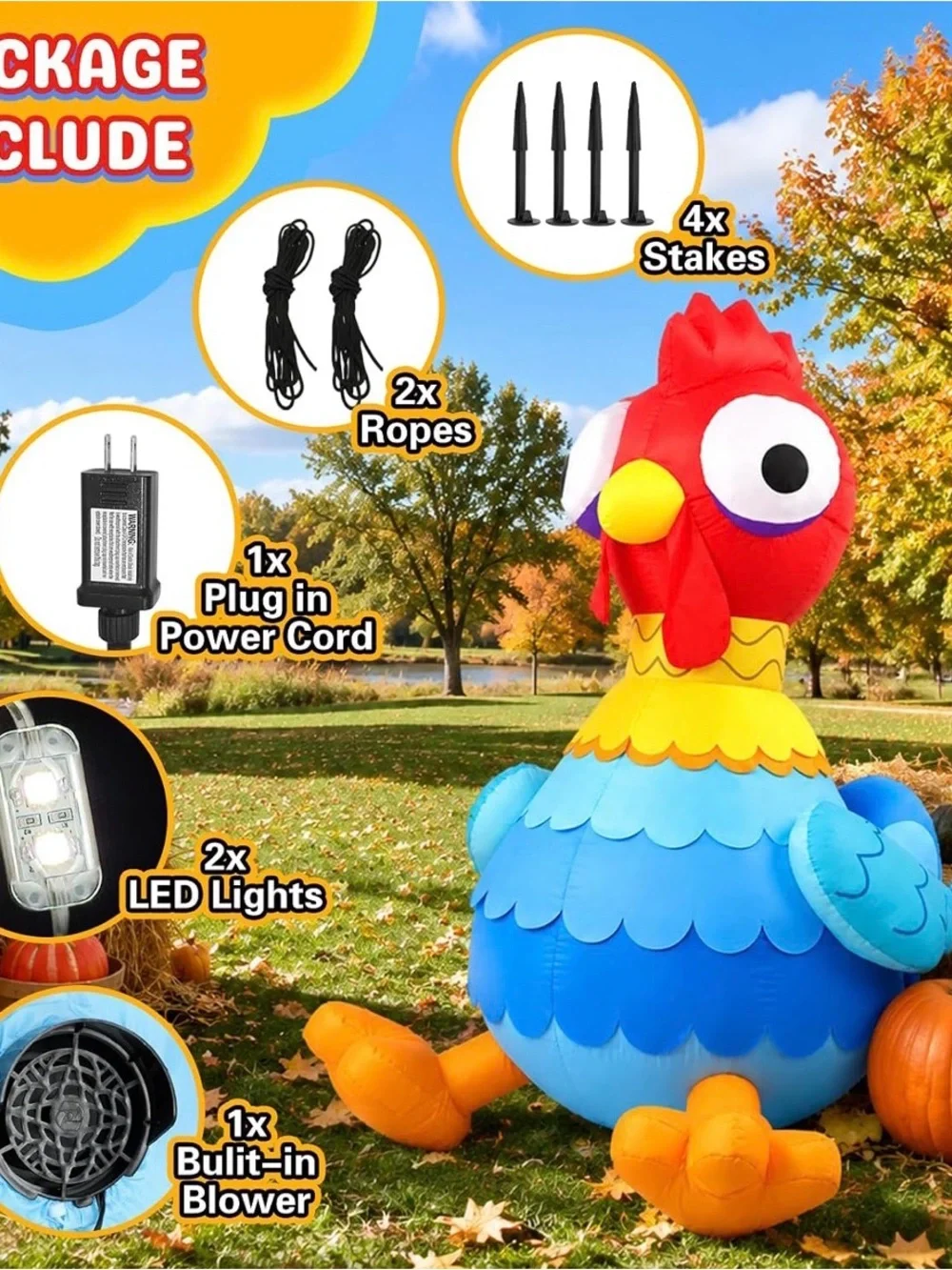 N/A 5ft chicken